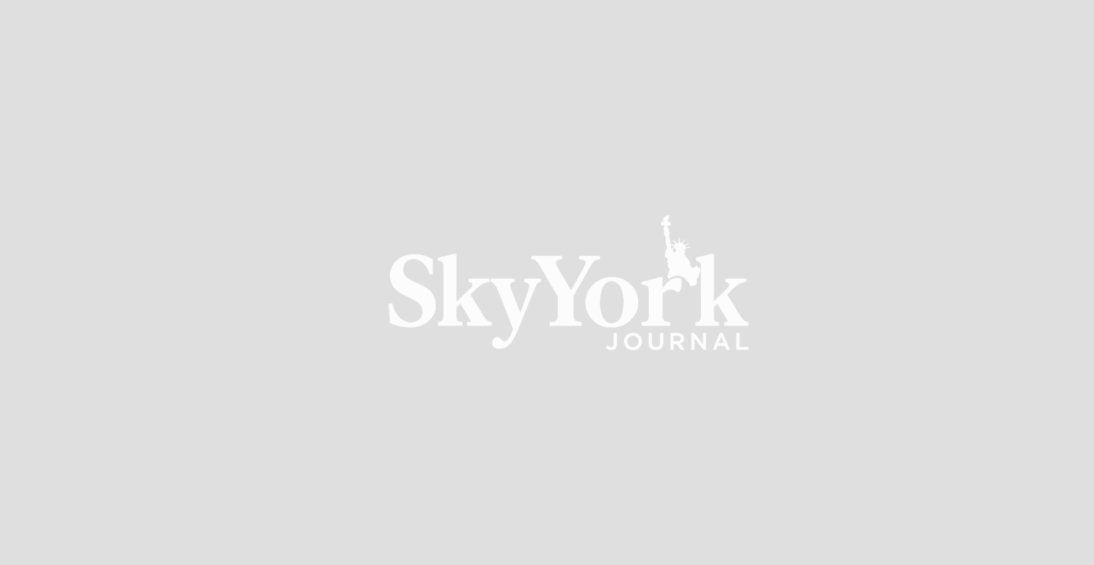 About Sky York Journal