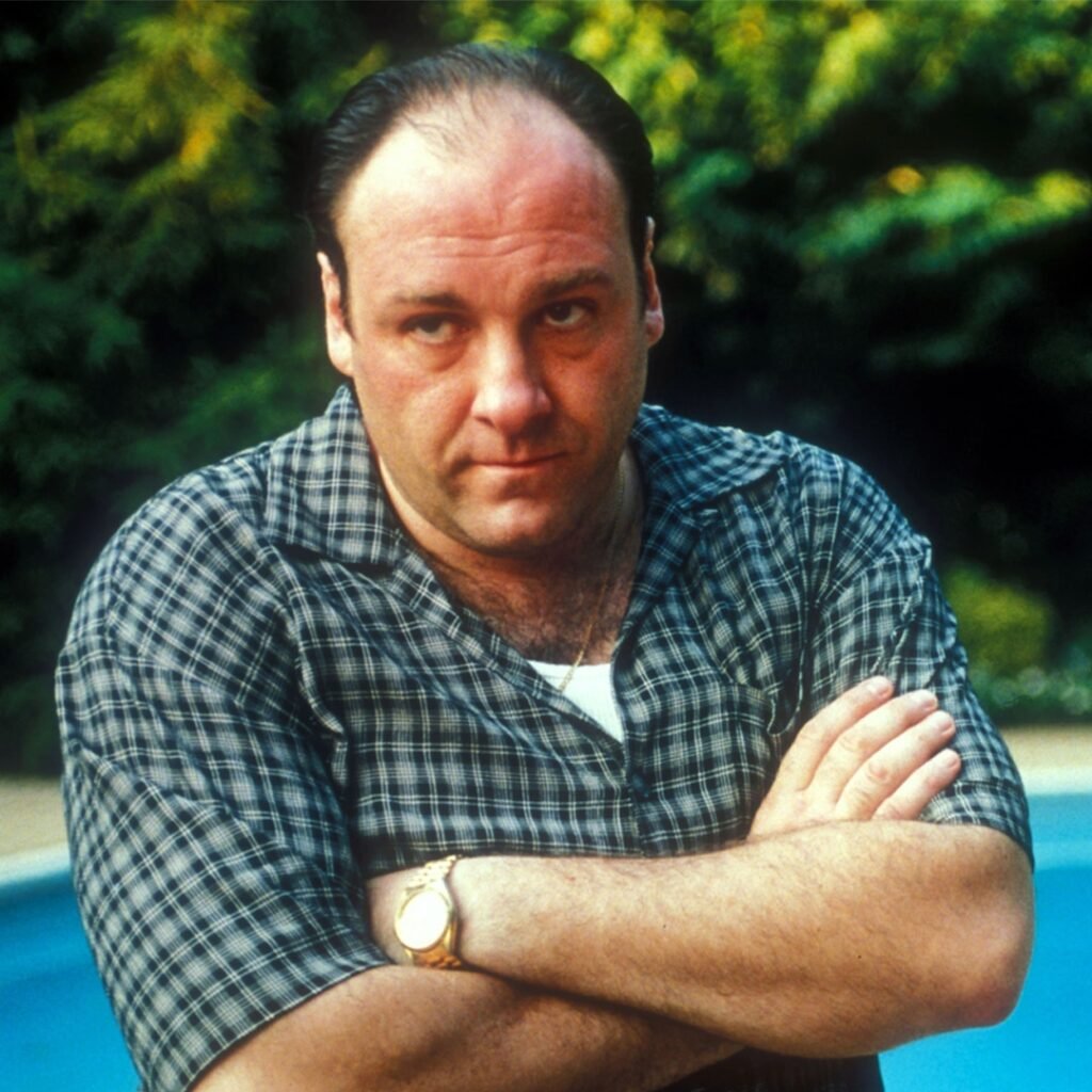 20 Shocking Secrets About The Sopranos Revealed 20 Shocking Secrets About The Sopranos Revealed
